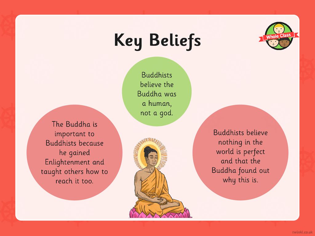 Buddhism beliefs best sale